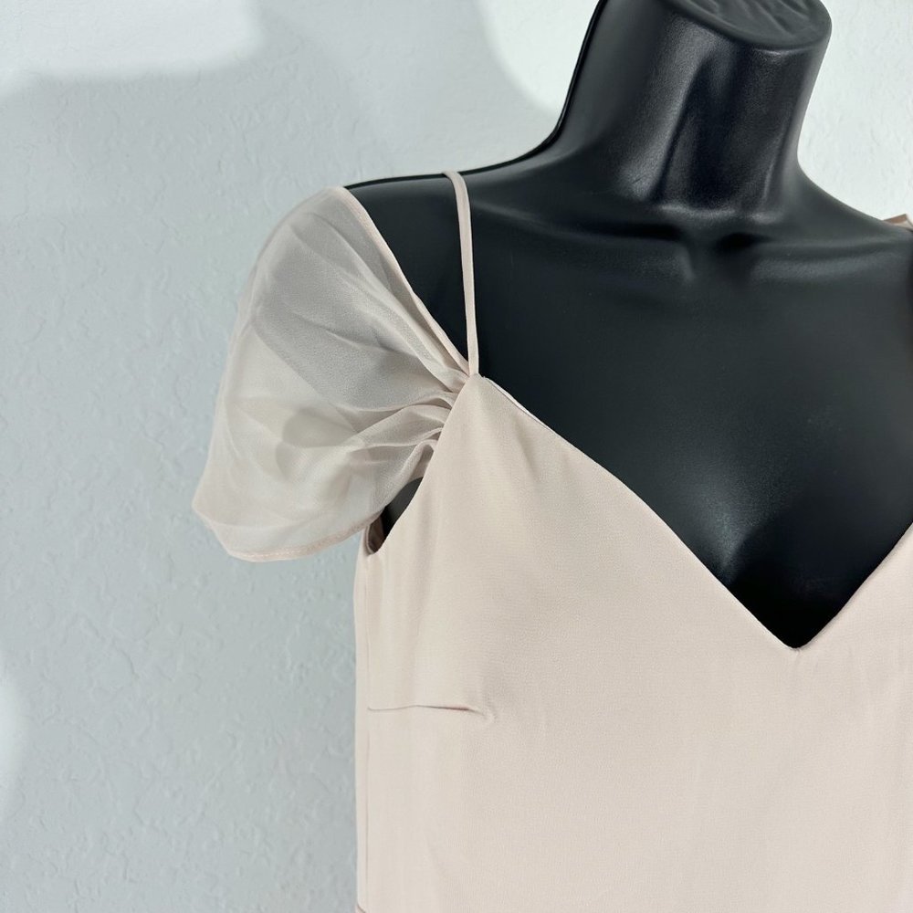 Birdy Grey Devin Convertible Chiffon Long Dress Gown Pale Blush Pink Extra Small - Picture 13 of 16